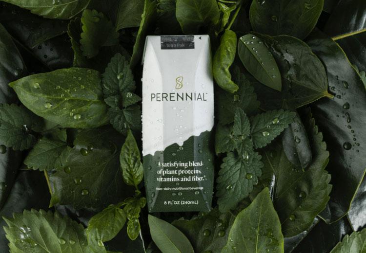 Innovation of the Day 