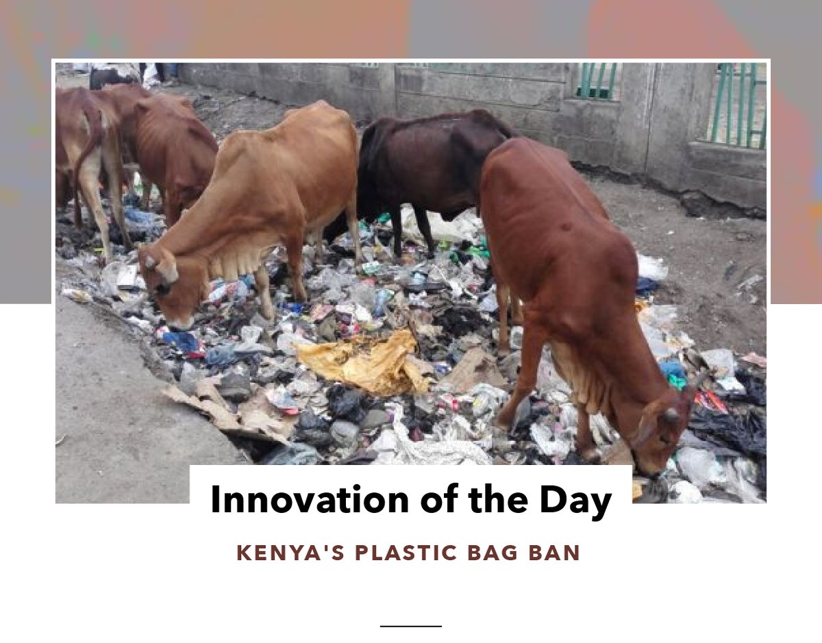 Kenya's plastic bag ban.png