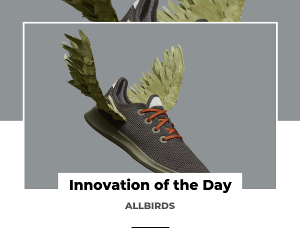 Innovation of the Day Allbirds