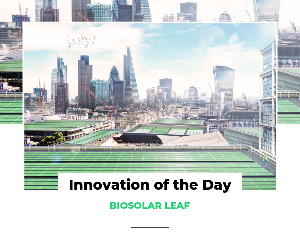Innovation of the Day BIOSOLAR LEAF