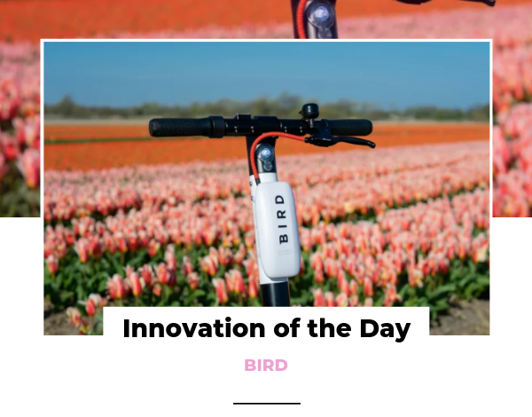 Innovation of the Day _ Bird