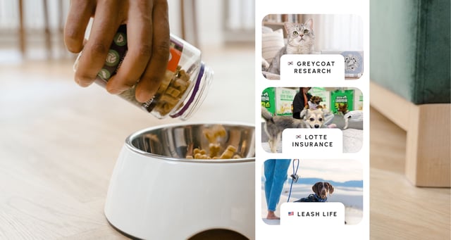 Putting dog food in bowl_Pet Perimeter
