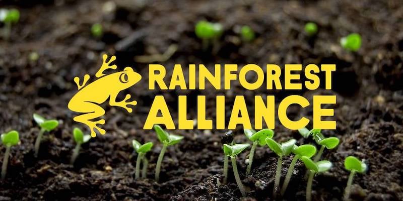 Rainforest Alliance Preview