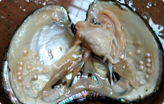 OysterPearl