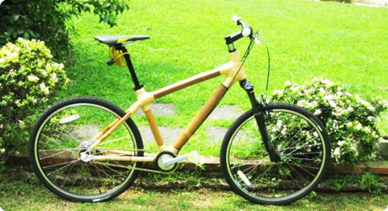 ecobike