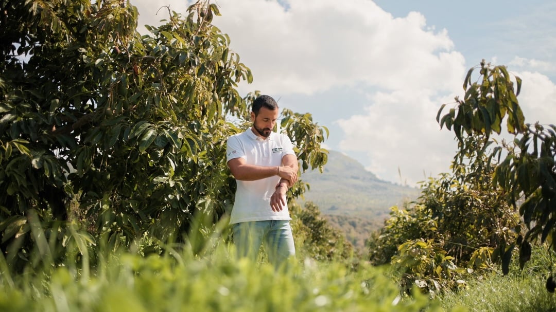 A man in a white polo shirt applying sunscreen to his forearm while standing among lush green crops, with a mountainous landscape in the background