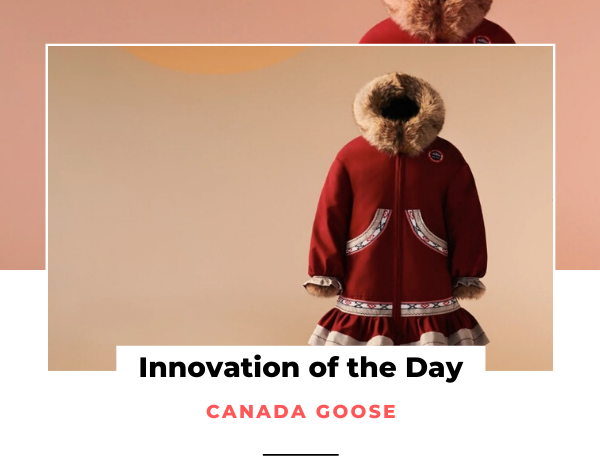 canada goose iotd