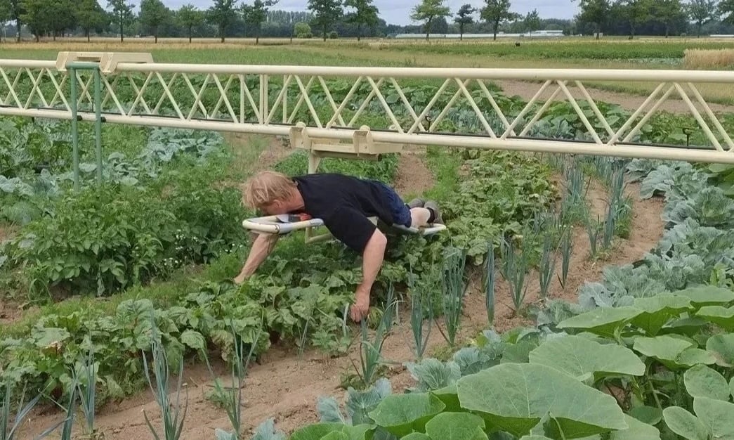 A person lies face down on a suspended 'bed' attached to a rotating metal arm, tending crops in a circular field. The setup allows the worker to hover above rows of leafy vegetables while reaching down to weed or harvest by hand