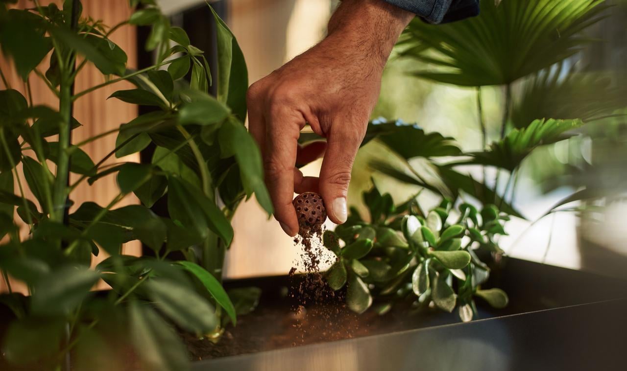Hand crushing a used coffee ball in a plant container