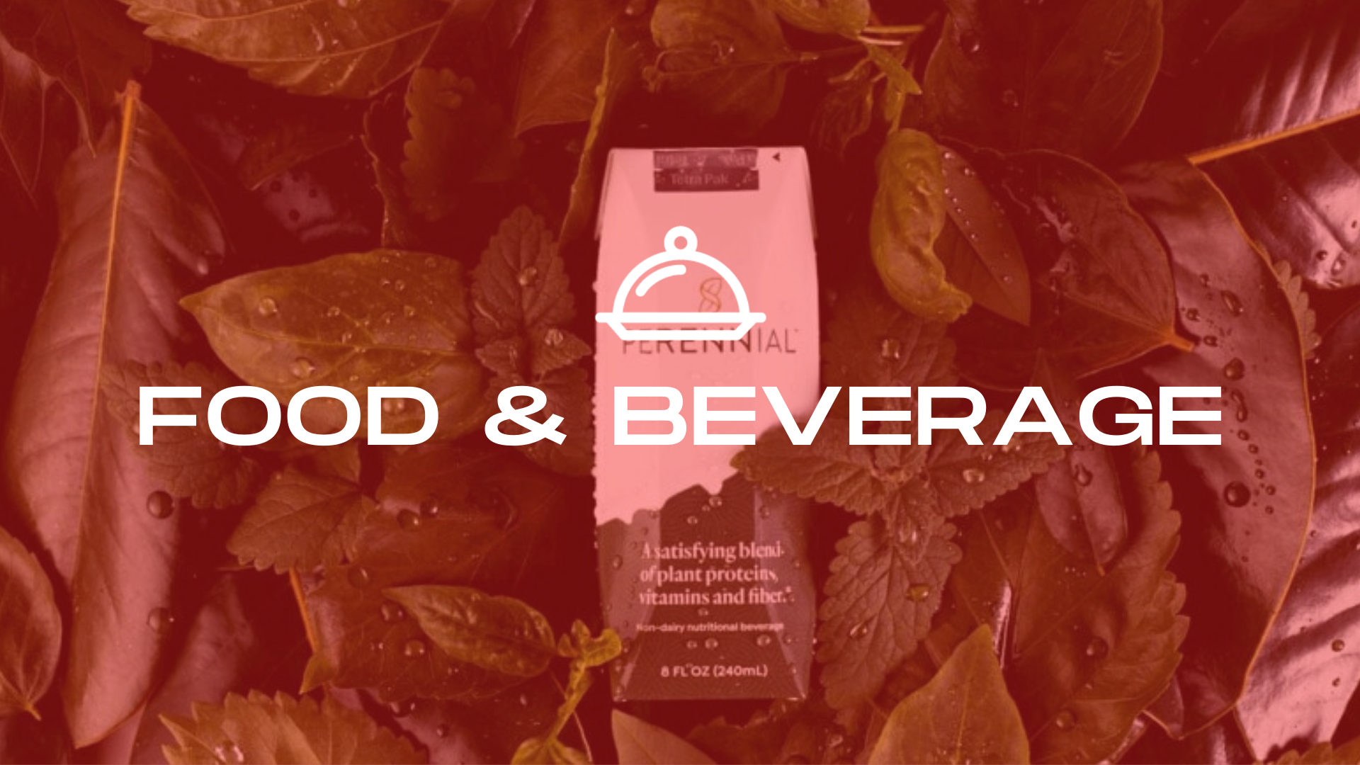 Innovation of the Day