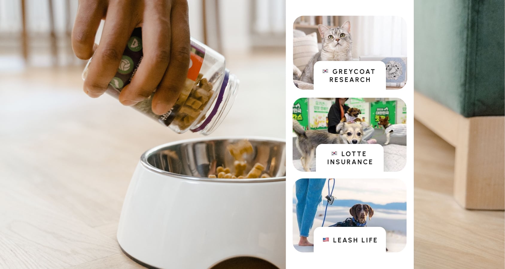 Putting dog food in bowl_Pet Perimeter 