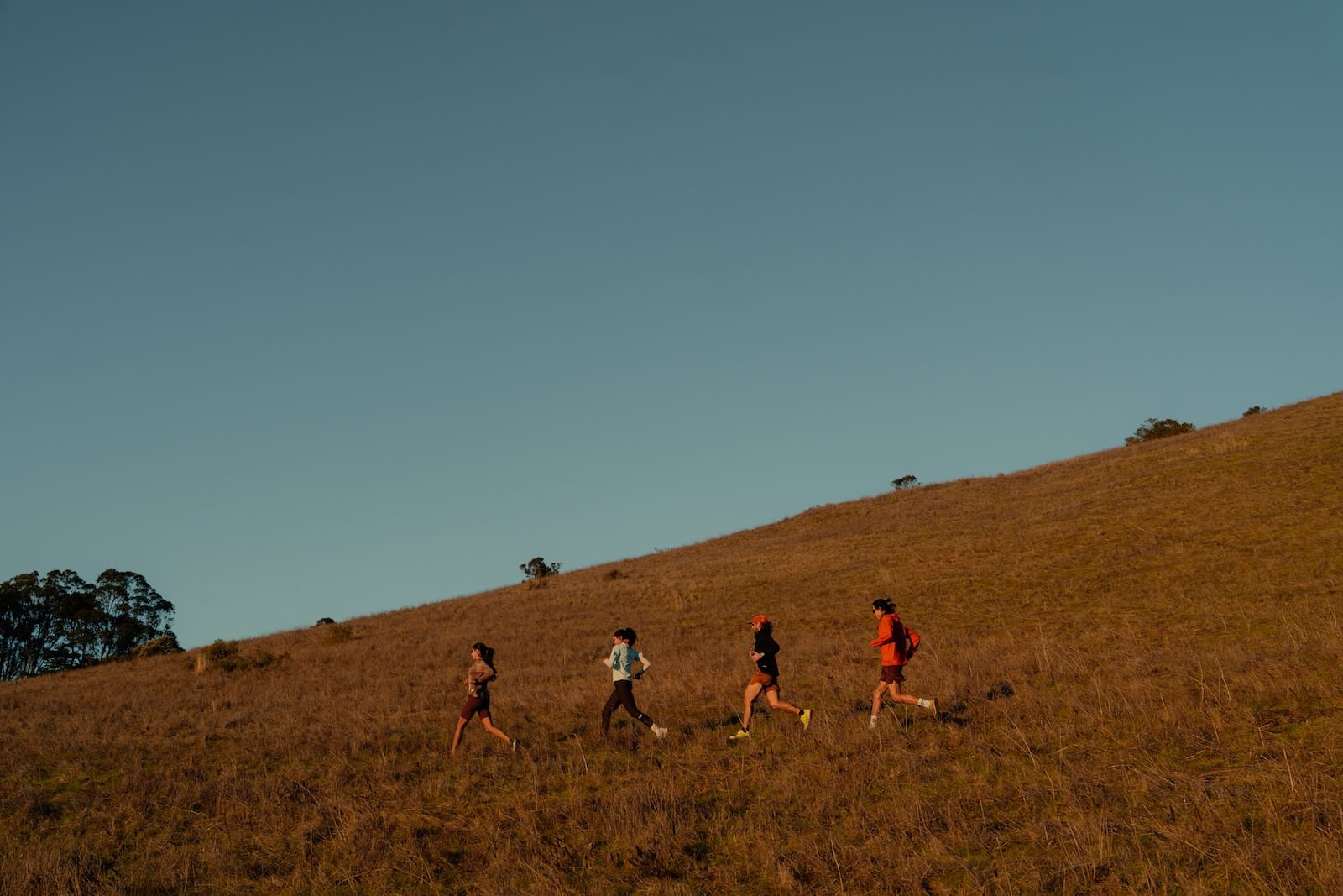 Four runners trail running across a golden hillside during golden hour, silhouetted against a clear blue sky with scattered trees dotting the landscape 