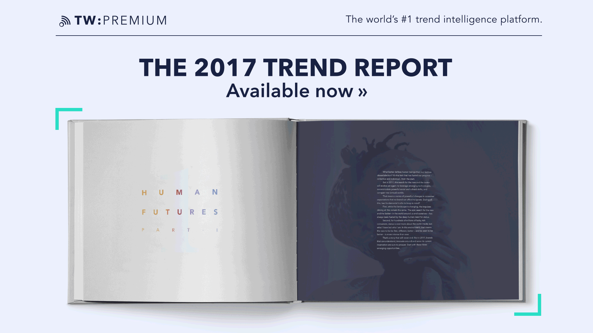 The 2017 Trend Report