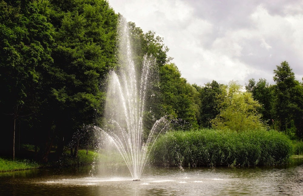 Fountain in pond surrounded by green park