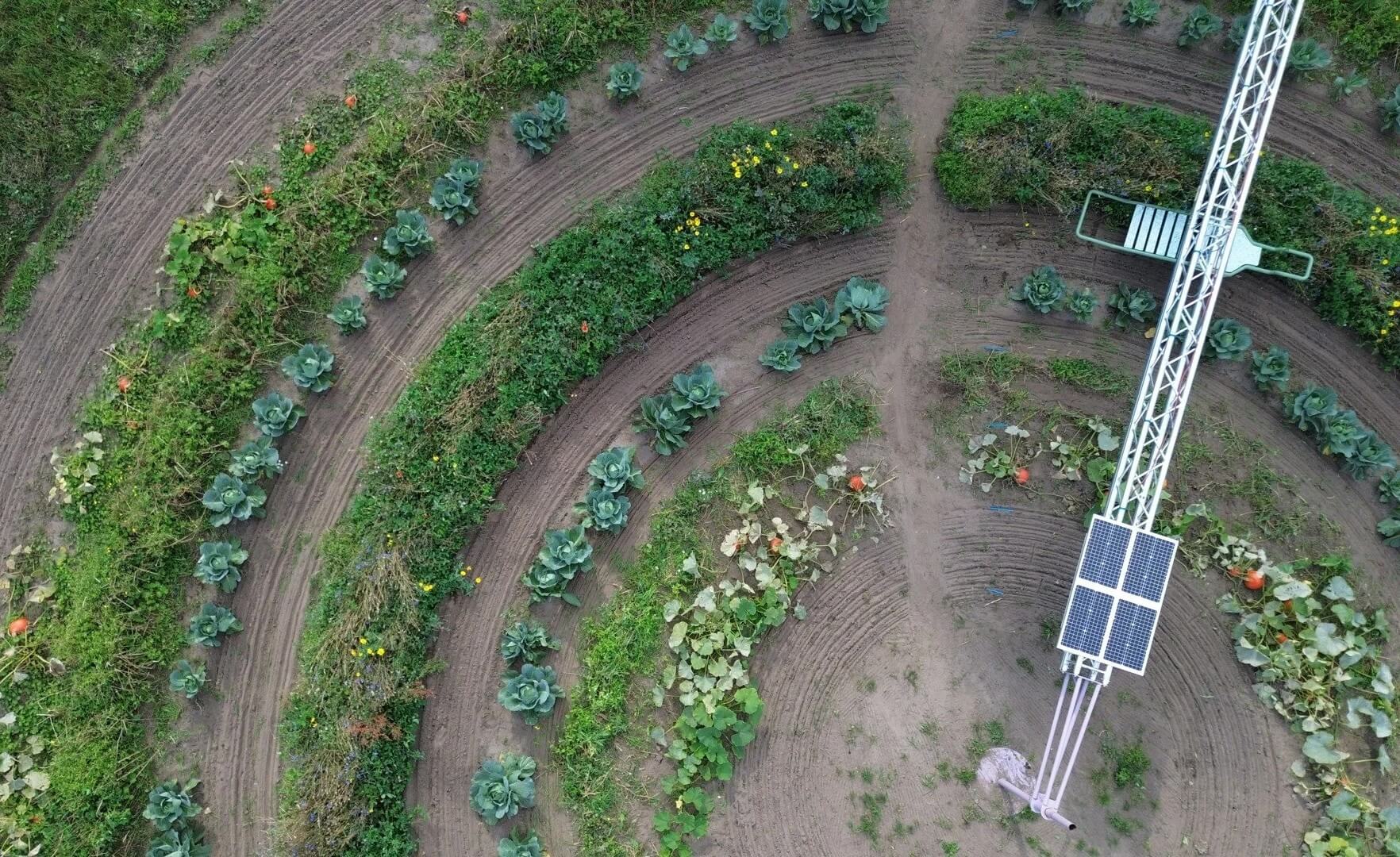 Aerial view of a circular farm with concentric planting rows of vegetables and greenery. A metal robotic arm with solar panels extends from the center, rotating to tend the crops arranged in rings 