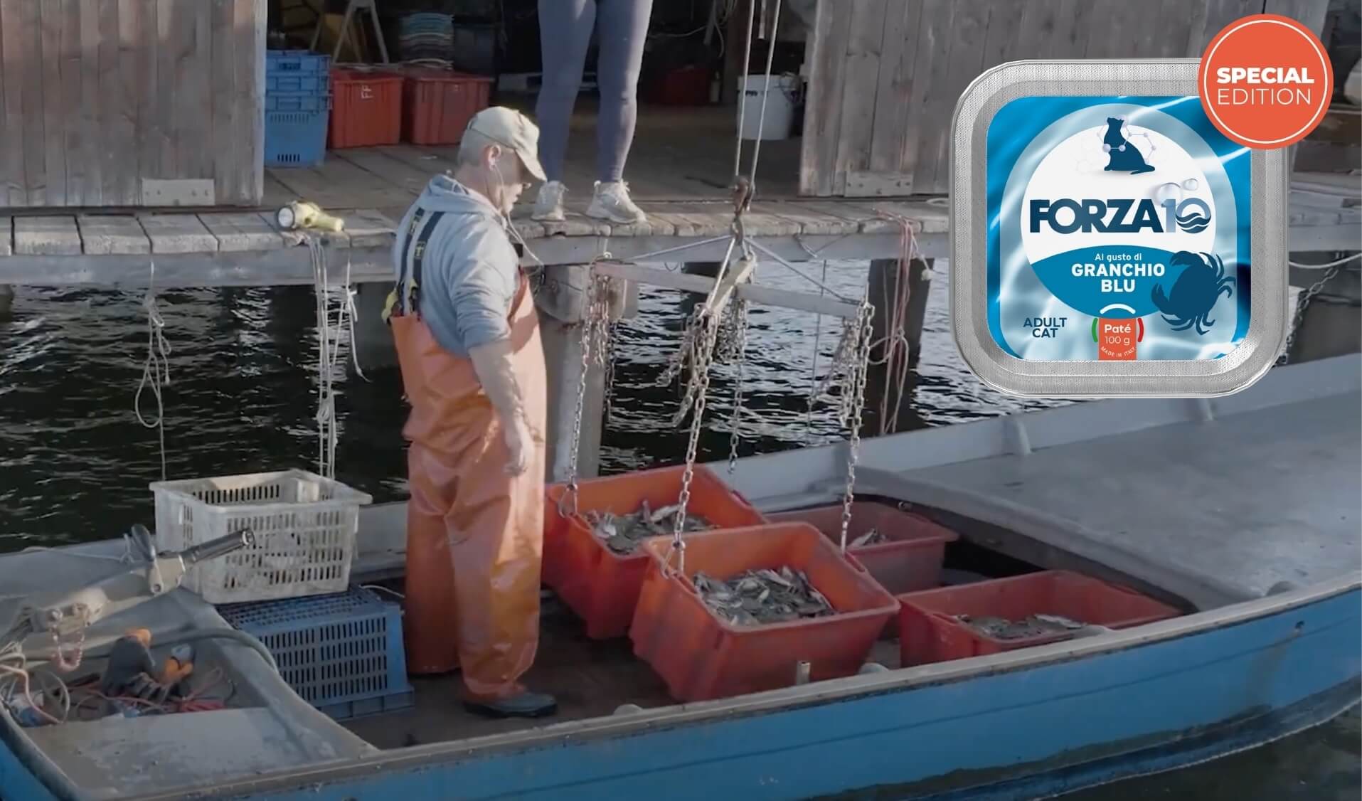 Fisherman wearing orange overalls stands on a blue boat loaded with red crates of crab, docked beside a wooden pier. Inset image of a Forza10 cat food container labeled “Al gusto di Granchio Blu” (Blue Crab flavor) 