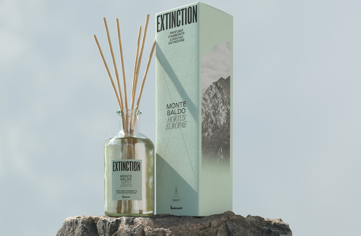 A reed diffuser and its packaging, on a rock with sky in the background