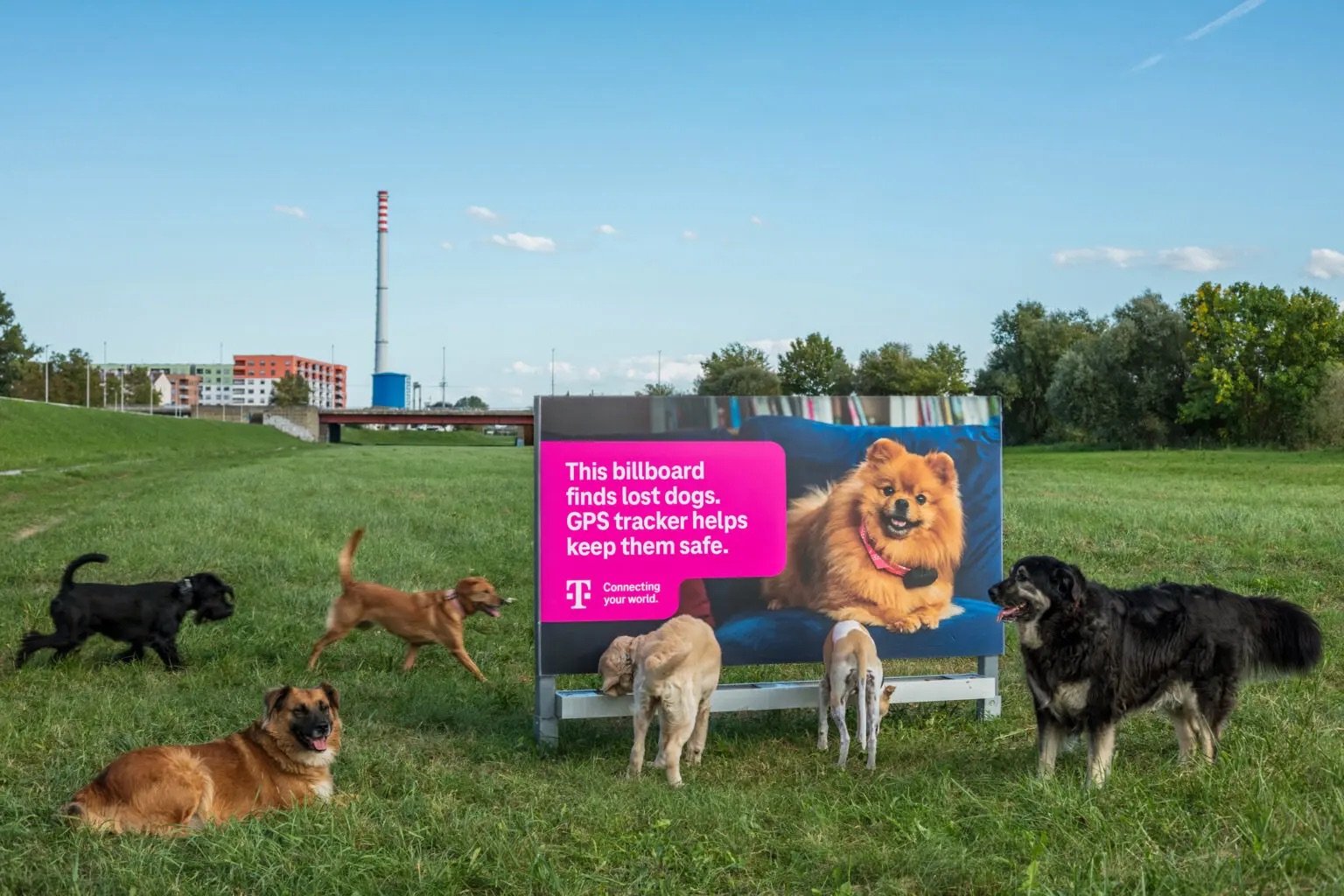 Alt text: Outdoor billboard in a grassy park releases food scent as several dogs gather around it, demonstrating Hrvatski Telekom’s GPS pet tracker campaign to help locate lost dogs 