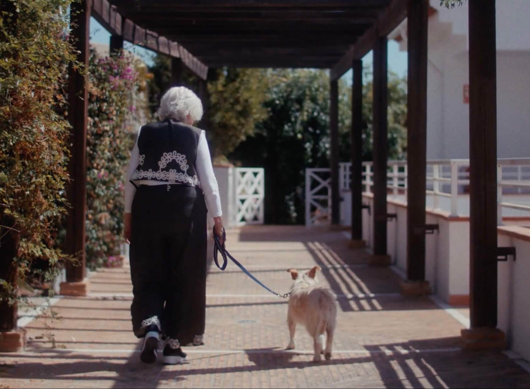 An older woman with short white hair walks a small dog on a leash along a sunlit, covered walkway with wooden beams and tiled flooring, surrounded by greenery and white railings, seen from behind 
