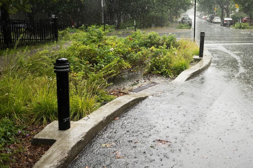 Heavy rain on a street adjacent to a densely planted section of 'sponge' sidewalk