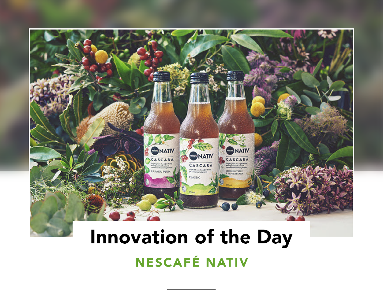 Three bottles of NESCAFÉ NATIV in a lush vegetative setting