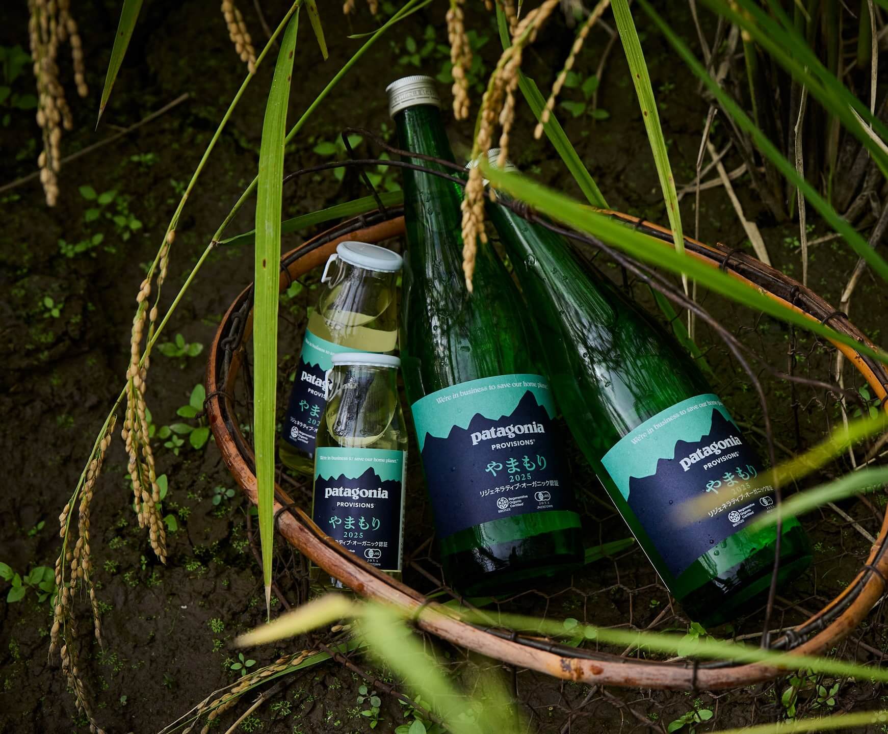 Bottles of Patagonia Provisions Yamamori 2025 sake resting in a woven basket among rice stalks in a flooded paddy field 