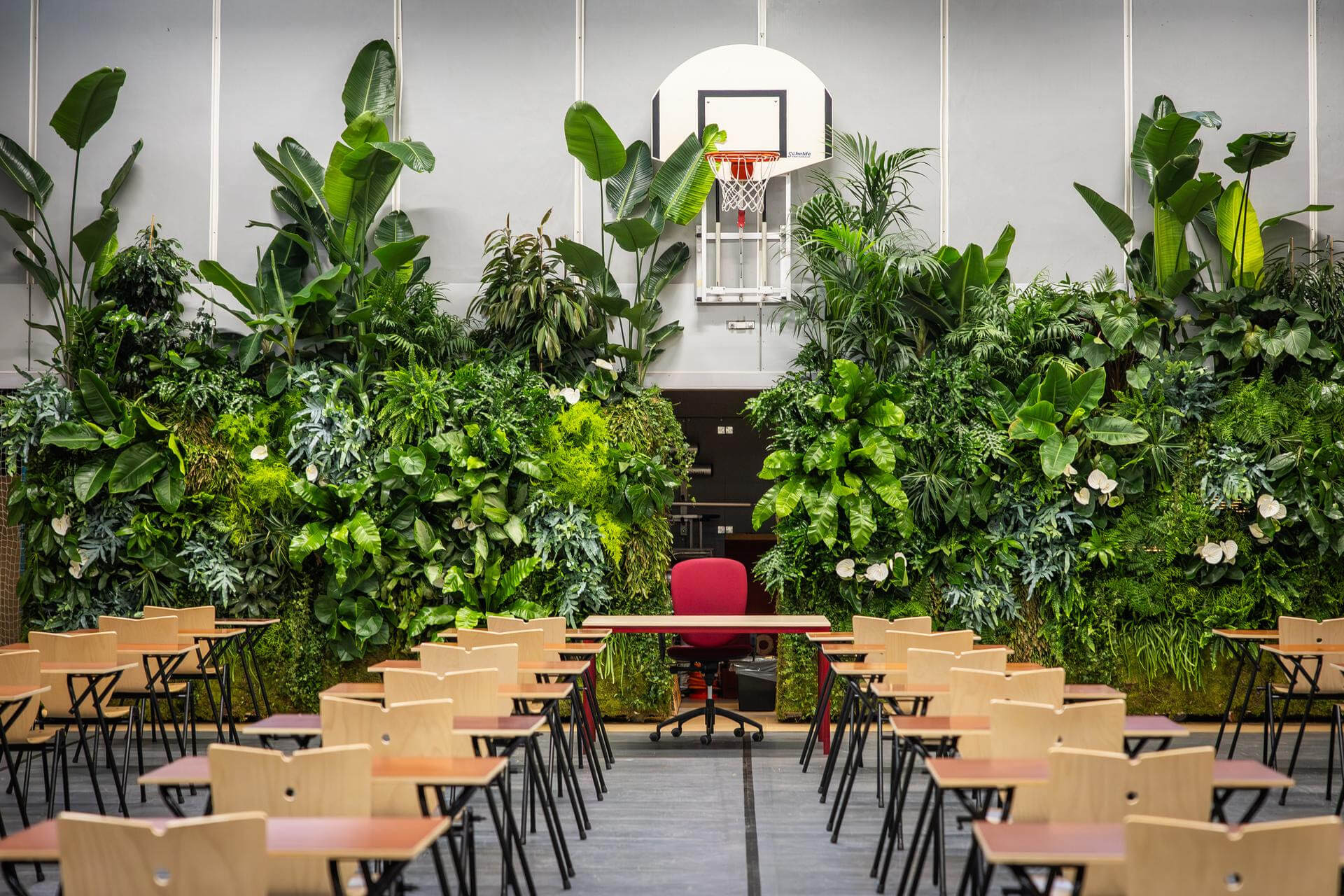 A school gymnasium set up for exams, with rows of wooden desks facing a dense wall of tropical plants, ferns, and white flowers banked beneath a basketball hoop, and a single red office chair at the front 