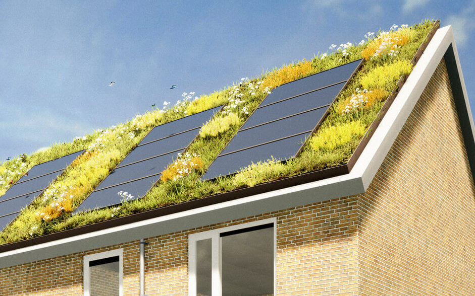 Standard Dutch row houses with green roofs featuring solar panels