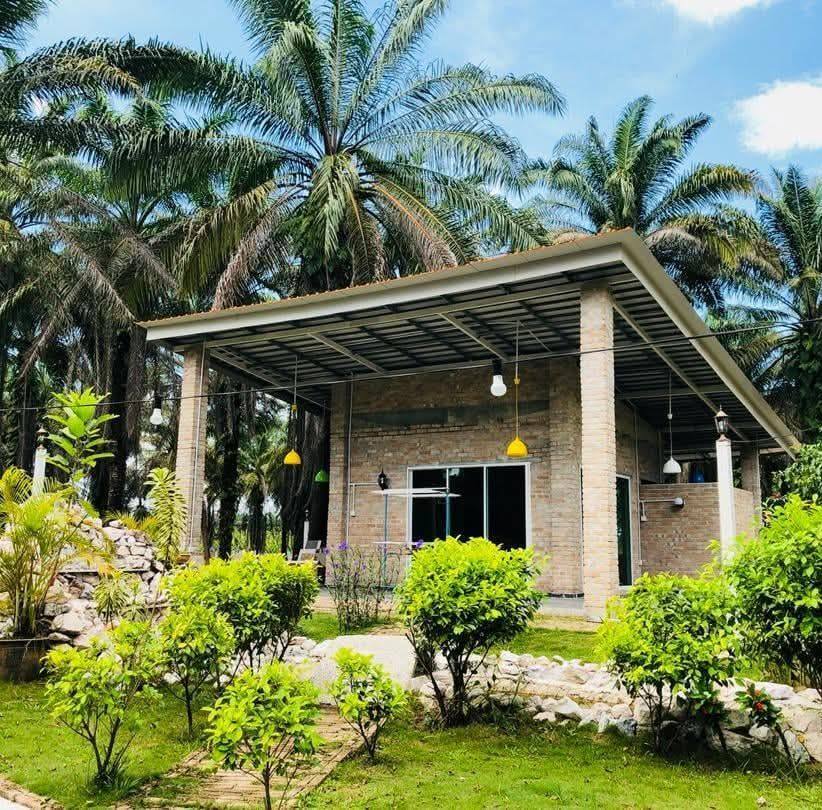 Single-story brick bungalow with a wide metal roof, surrounded by palm trees and manicured greenery, evoking a quiet, retreat-like setting 